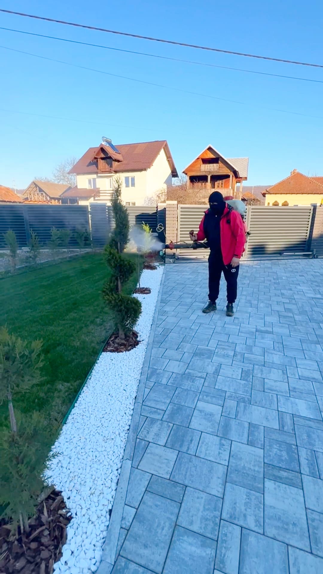 Expert Landscape Designer