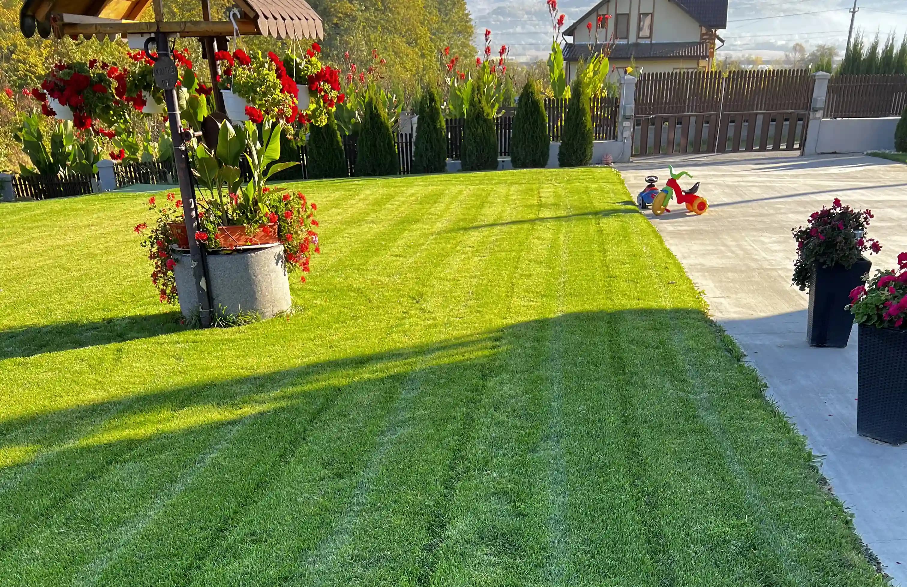 Contactați-ne pentru amenajări peisagistice în Curtea de Argeș