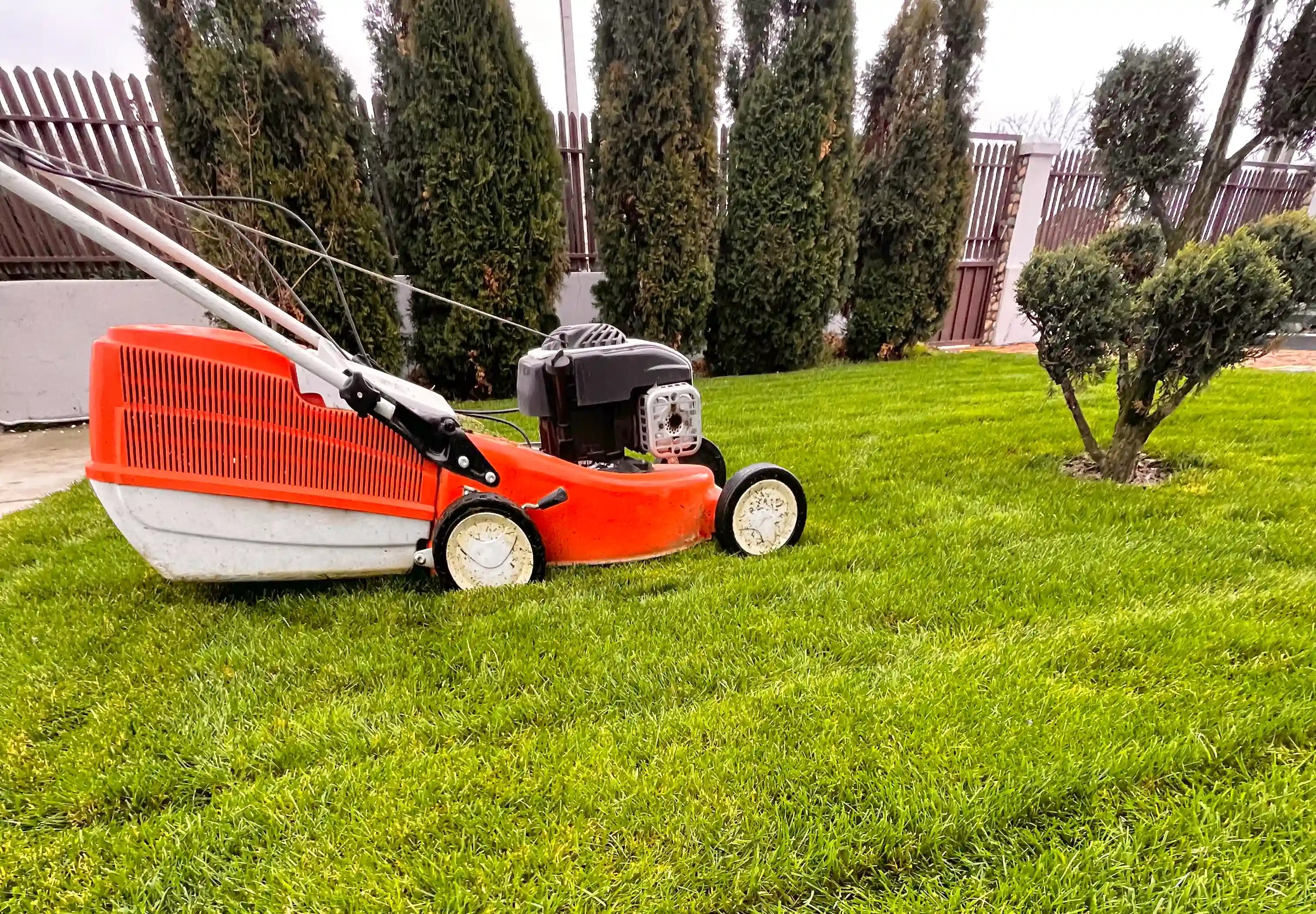 Proiecte de amenajări peisagistice în Curtea de Argeș